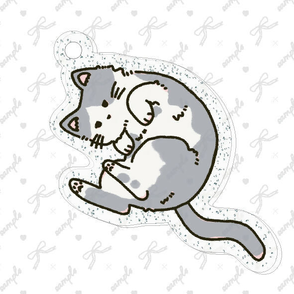 まるくなる猫