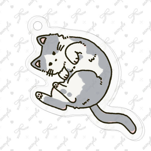 まるくなる猫